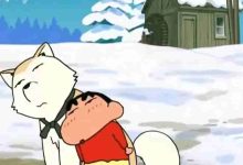 美国区免费Apple ID共享账号密码大全(2025年09月09日实时更新) - ID共享吧